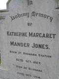 image of grave number 309801
